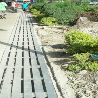 NPF Building Drainage Upgrade
